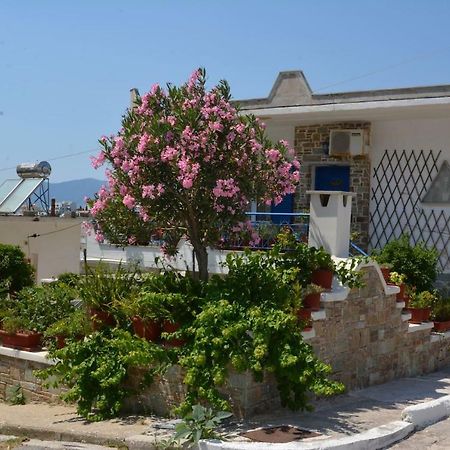 Traditional Summer House In Marmari Marmari  Екстериор снимка